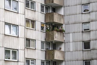 Old residential tower block in Duisburg-Neuenkamp, only one balcony with plants, Duisburg, North