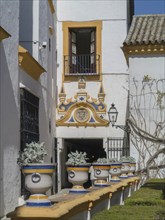 Jardines del Alcazar, Gardens in the Alcazar, Royal Palace of Seville, Seville, Spain, Europe