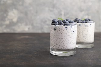 Yogurt with blueberry and chia in glass on black concrete background. Side view, close up, copy