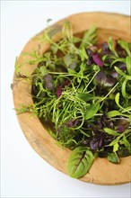 Top view of wooden bowl with different microgreens on white background