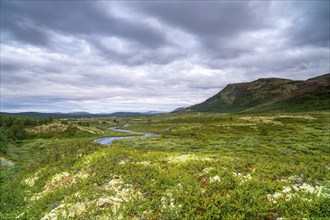 Fjell area near the lake Savalen, Fjell, landscape, river, evening mood, Savalen, Tynset,