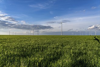 RWE wind farm near Bedburg, at the Garzweiler opencast mine, on recultivated part of the opencast