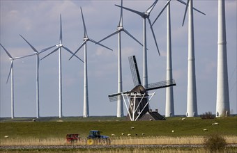 Westereems and Growind wind farms, over 80 wind turbines in total, at the Eemshaven seaport,