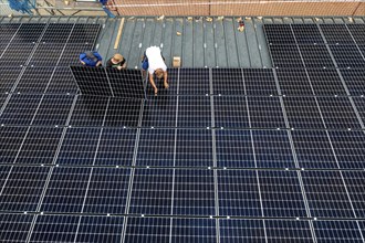 Installation of solar modules on the roof of a barn on a farm, over 210 photovoltaic modules are