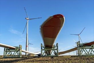 Wind farm near Bad Wünnenberg, construction site, toothing on the rotor blades, so-called