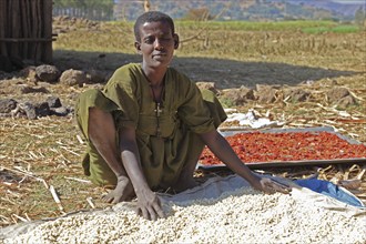 Amhara region, young man checks the maize and peppers lying in the sun to dry, Ethiopia, Africa