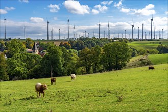 Wind farm near Lichtenau, Iggenhausen district, St. Alexander parish church, wind turbines, North