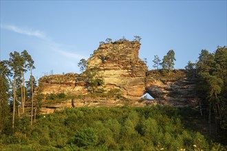 Büttelsfelsen Dahn natural monument in the evening sun. The striking rock massif is a red sandstone