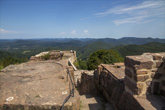 Wegelnburg Castle in the Palatinate Forest-North Vosges biosphere reserve. At 570.9 metres above