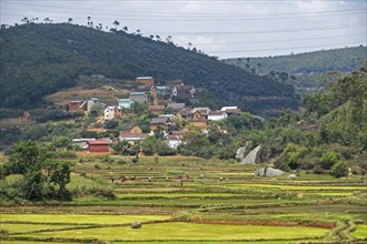 Rural village and Malagasy farmers working on terraced rice field in the Alaotra-Mangoro Region,