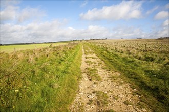 The Ridgeway long distance footpath dating from prehistory near its start on Overton Hill,