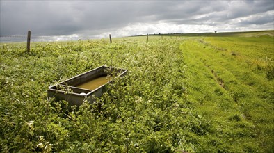 Chalk downland landscape upland scenery All Cannings Down, near East Kennet, Wiltshire, England