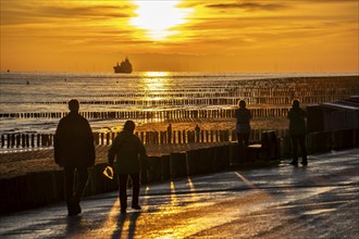 Sunset on the beach of Zoutelande, beach with wooden pile breakwaters, tourists, cargo ship sailing