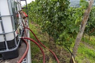 Upper Middle Rhine Valley, water tank for irrigating grapevine plants, in the Kapellenberg vineyard