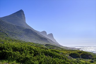 Buffels Bay, Cape of Good Hope, Cape Peninsula, Western Cape, South Africa, Africa