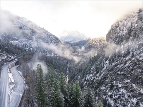 Serpentine road leads through a snow-covered fir landscape with fog, Alpenstraße, Bad Reichenhall,