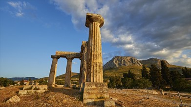 Archaic Temple of Apollo, Doric columns, Golden light falls on the ancient columns with picturesque