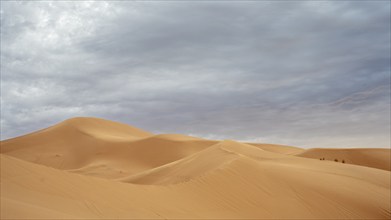 Dunes in the desert, Erg Chebbi, Sahara, Merzouga, Morocco, Africa