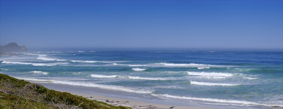 Platboom Beach, Cape Point, Cape of Good Hope, Cape Peninsula, Western Cape, South Africa, Africa