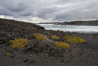 Playa de las Malvas, Lanzarote, Canary Islands, Spain, Europe