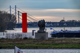 Flood on the Rhine near Duisburg, freighter in the harbour canal, Neuenkamp Rhine Bridge, old and