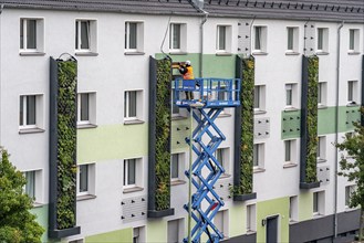 Installation of façade greenery on 4 apartment blocks on Gladbecker Straße, B224, to filter