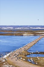 View of a lake with cranes (Grus grus) on a dirt road by a lake on an early spring day,