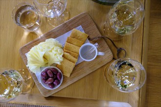 Wine tasting, Oldenburg Wine Estate, Oldenburg Vineyards, Banghoek, Stellenbosch, Western Cape,