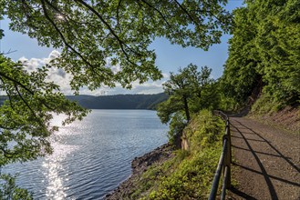 Lake Rursee, reservoir in the Eifel National Park, north-east bank near Heimbach, near the Rur dam