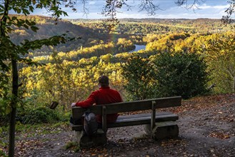 Autumnal forest along the Ruhr Valley between Essen-Kettwig and Essen-Werden, viewpoint in the