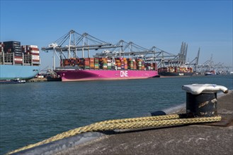 The seaport of Rotterdam, Maasvlakte, Hutchinson ECT Delta Terminal, Container Terminal, in the