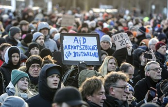 Around 100, 000 people gathered in front of the Bundestag on Sunday to protest against the AfD and