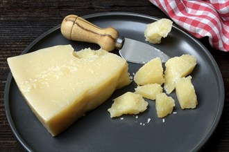 A piece of Parmesan cheese and chopped pieces of cheese on a plate