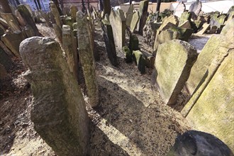 The Old Jewish Cemetery in the Josefov district is one of the most historically significant Jewish