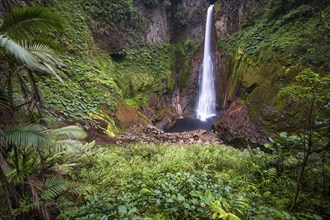 Catarata del Toro waterfall, dense vegetation in the tropical rainforest, Alajuela province, Costa