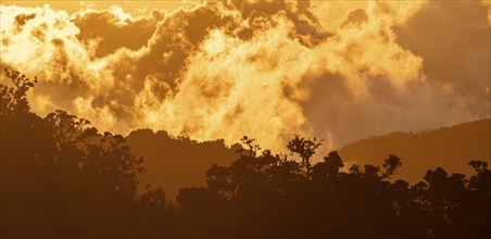 Evening mood, clouds over cloud forest, mountain rainforest, Parque Nacional Los Quetzales, Costa