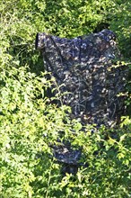 Nature photographer in camouflage at work, camouflage net in a dense bush surrounded by green