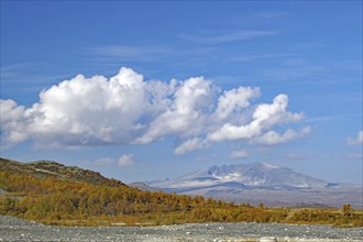 Mountains and autumnal trees under a sky with white clouds, clear, autumn, Hjerkinn,