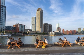 View of the skyline of Rotterdam, from the Fenix Food Factory, market hall and restaurants, on the