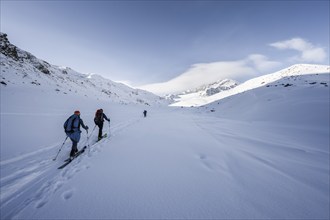 Two ski tourers ascending in fresh snow, snow-covered mountain peak Monte Cevedale in the