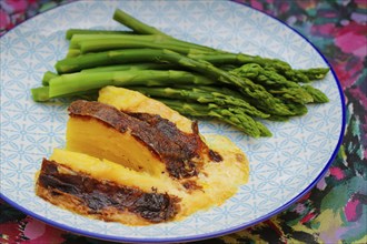 South German cuisine, green asparagus with potato gratin, plate, vegetables, healthy, savoury, food