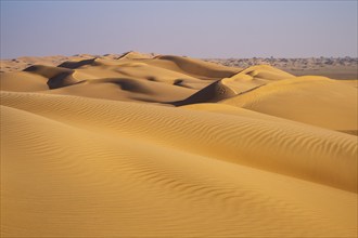 Sand dunes in the desert, near Duqm, Oman, Asia