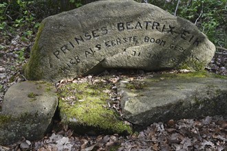 NL, Eesergroen: Spring shapes the landscape, cities and people in the province of Drenthe in the