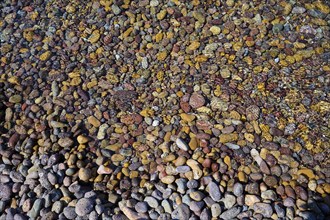 Colourful pebbles in the water with different textures and patterns, Lambi beach, pebble beach,