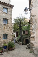 Tourtour, Département Var, Provence-Alpes-Côte d'Azur region, South of France, France, Europe