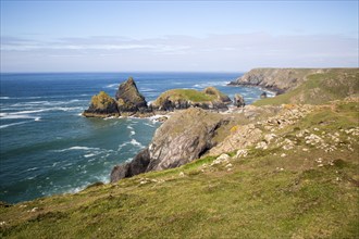 Coastal scenery near Kynance Cove, Lizard Peninsula, Cornwall, England, UK