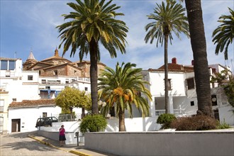 Palm trees and whitewashed buildings in the village of Galaroza, Sierra de Aracena, Huelva