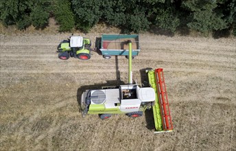 Aerial view of combine harvester harvesting grain on an organic farm, Müncheberg, 28/07/2020