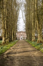 Avenue driveway lime trees leading to Oare House built 1740, Oare, Wilcot, Wiltshire, England, UK