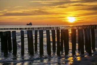 Sunset on the beach of Zoutelande, beach with wooden pile breakwaters, cargo ship sailing towards